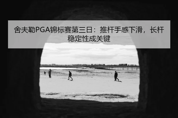 she-fu-lei-jin-biao-sai-di-san-ri-tui-gan-shou-gan-xia-hua-zhang-gan-wen-ding-xing-cheng-guan-jian-1-942.jpg