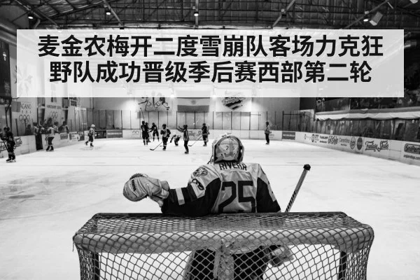 ice hockey playoff game